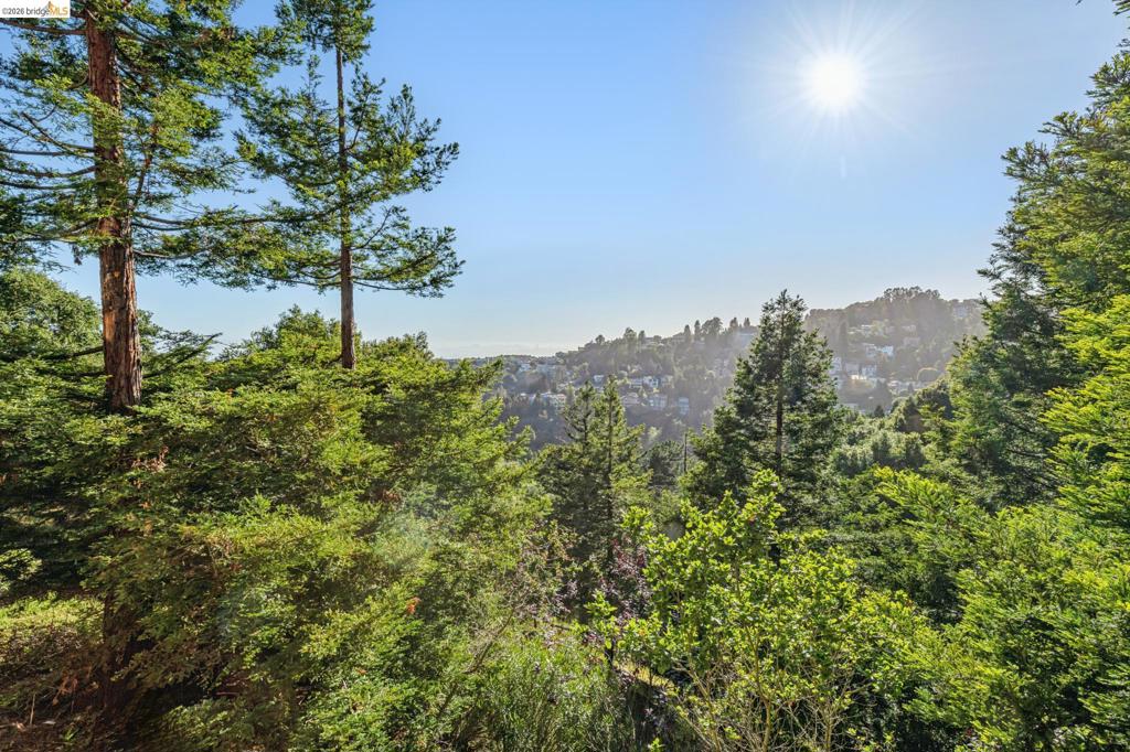 35 Bay Forest Ct CT