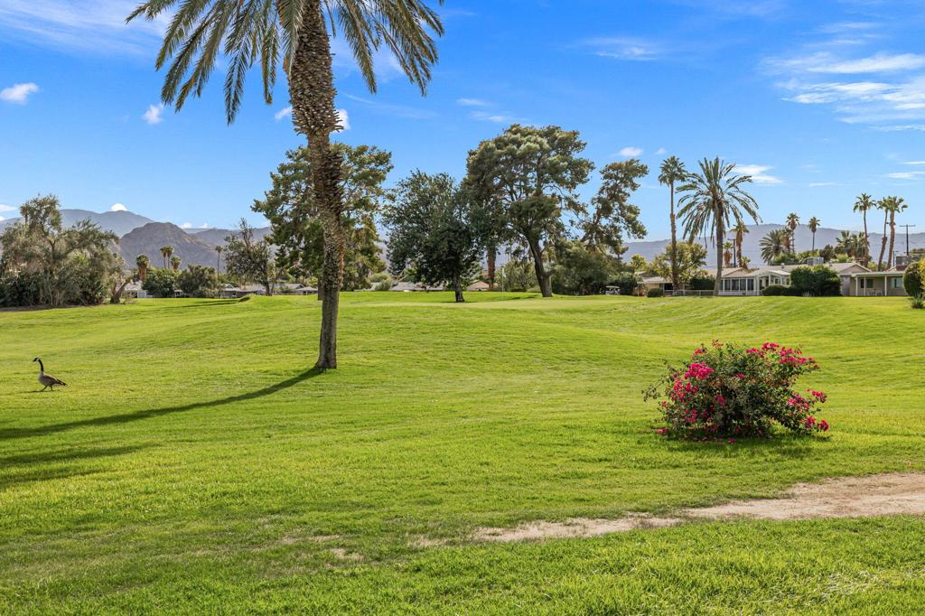 Palm Desert Country - Residential