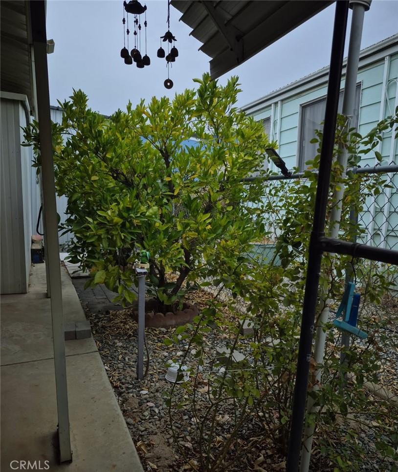 26090 Ivory Palm Drive