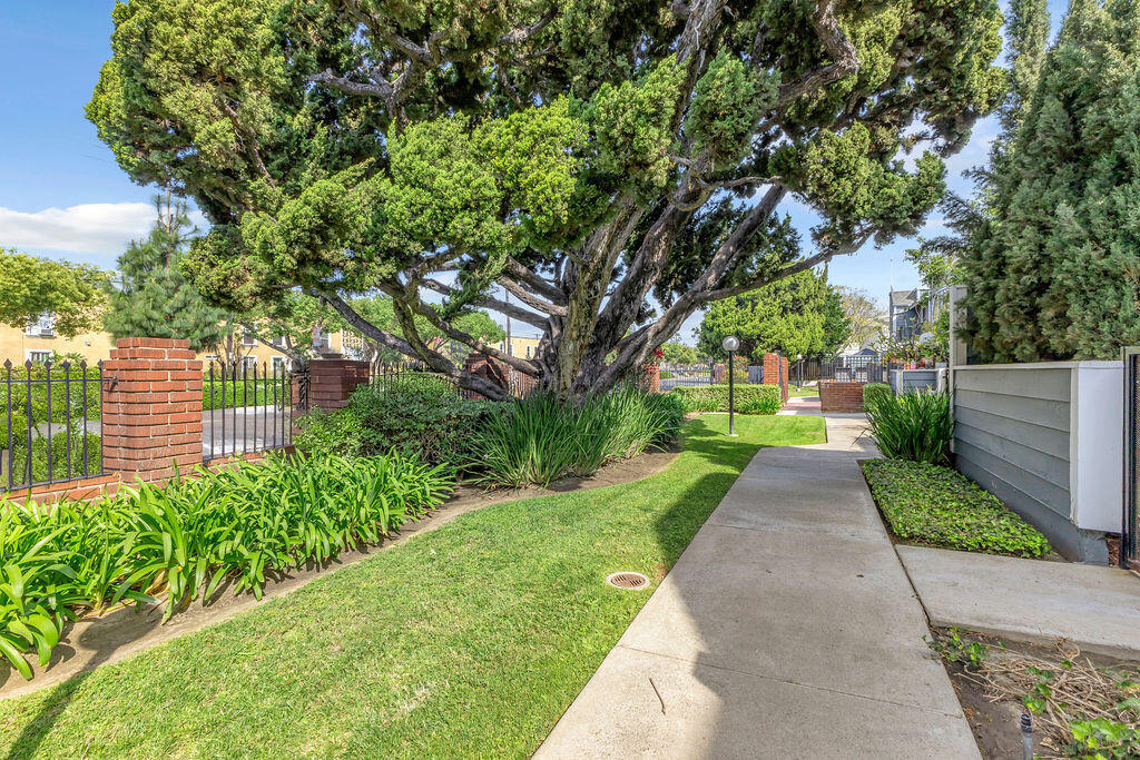 14736 Pioneer Boulevard