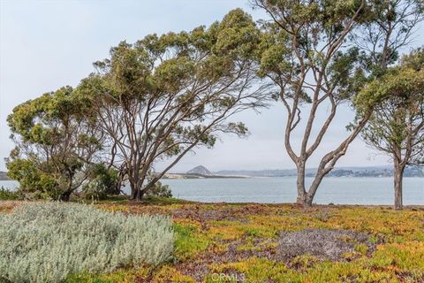 Tiny photo for 1924 Nevada Court, Los Osos, CA 93402 (MLS # SC26069961)