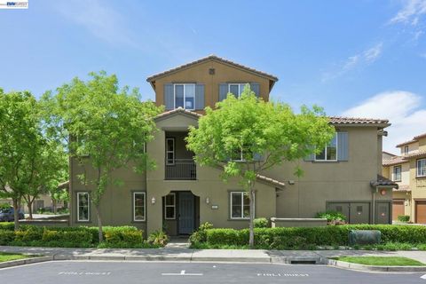 Photo of 5351 Fioli Loop Loop, San Ramon, CA 94582 (MLS # 41132541)