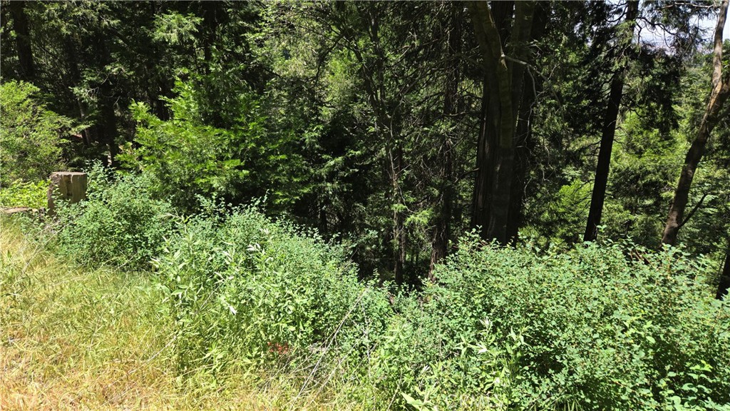 No address has been assigned to this parcel by the county as yet. Here is a lovely bit of the San Bernardino Mountains that could be yours. This gently downsloping lot is located in a beautiful area of Cedarpines Park. It's on a paved road, and all utilities are available at the street. This would be the perfect place to build your mountain hideaway. The Seller will consider financing on a Land Contract or Note and Deed of Trust with a substantial down payment. Inquire for specifics. To locate the property exactly, please use the maps included in this listing, and following coordinates: Latitude: 34.2563842 Longitude: -117.3219378. That will put you exactly on the street at the southwest corner of the property.