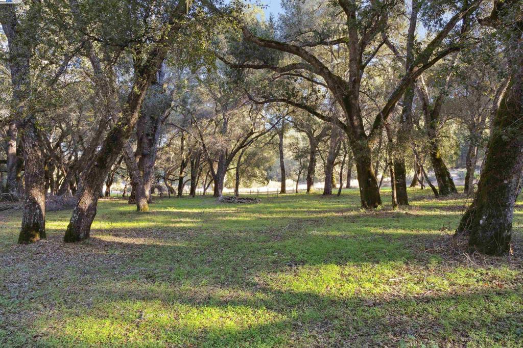 Your Slice of Paradise Awaits in the Santa Lucia Preserve-Welcome to a life of unmatched beauty and tranquility in the Santa Lucia Preserve, a 20,000-acre private community where nature takes center stage.This 5.35-acre flat lot is tucked in the serene Woodland area, offering the perfect foundation for your next home.With a 1.5-acre building envelope, the possibilities for creating your dream retreat are endless. Here, exclusivity meets adventure. Enjoy world-class golf at The Preserve Golf Club, just moments from Holes #11 & #12, Tom Fazio-designed course.For equestrian enthusiasts, the private member-only Equestrian Center offers impeccable facilities, including pastures, barns, arenas, and boarding services.Explore nearly 100 miles of scenic trails or relax by the 18-acre private lake, ideal for fishing, kayaking, or paddleboarding. The Vision Is Already in Motion:This property has Eric Miller’s approved architectural plans for a 4433 sq ft contemporary masterpiece.The home design features 4 bedrooms, 4.5 baths, indoor-outdoor living spaces, 3-car garage, and an inviting pool—all thoughtfully designed to harmonize with the natural beauty of the Preserve. Step into a lifestyle of elegance, privacy, & endless recreation.Your opportunity to live inspired in a place like no other.