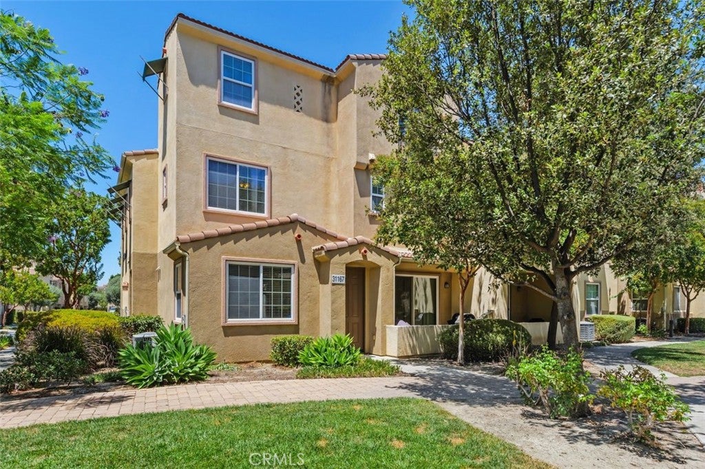 31167 Mountain Lilac