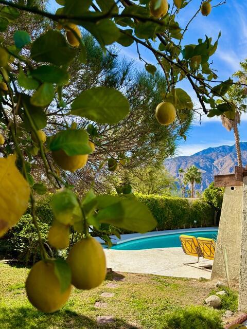 Victoria Park/Vista Norte - Residential