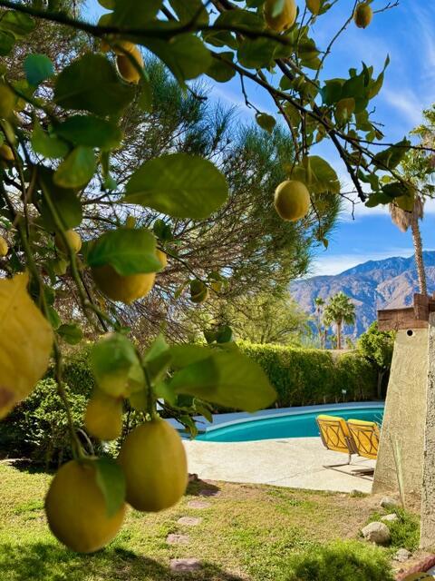 Victoria Park/Vista Norte - Residential