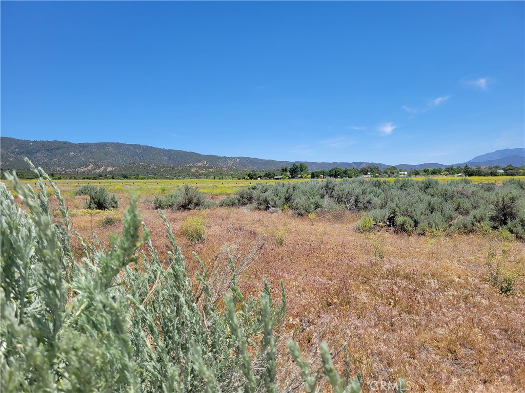 Great Location! All usable parcel is partially fenced and located near paved Mitchell Rd. Enjoy mountain views and easy access to town and schools. Need to drill a well. Electric is located at the street. Option to purchase 2nd adjacent parcel also for sale for $58,500. See apn#573100049 and MLS#SW25120797