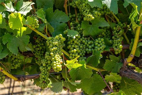 Tiny photo for 5502 Los Ranchos Road, San Luis Obispo, CA 93401 (MLS # NS25173494)