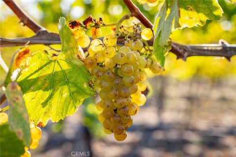 Tiny photo for 5502 Los Ranchos Road, San Luis Obispo, CA 93401 (MLS # NS25173494)