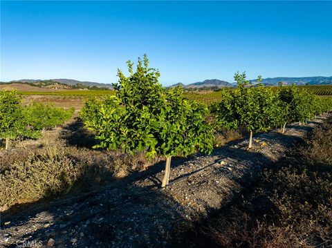 Tiny photo for 5502 Los Ranchos Road, San Luis Obispo, CA 93401 (MLS # NS25173494)