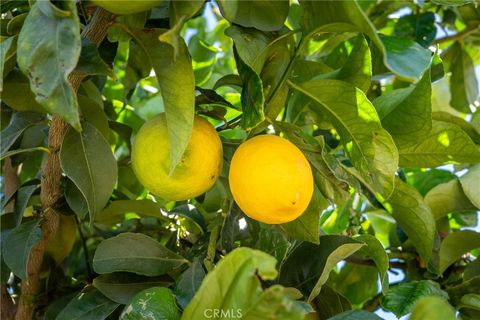 Tiny photo for 5502 Los Ranchos Road, San Luis Obispo, CA 93401 (MLS # NS25173494)