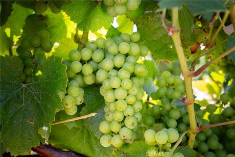 Tiny photo for 5502 Los Ranchos Road, San Luis Obispo, CA 93401 (MLS # NS25173494)