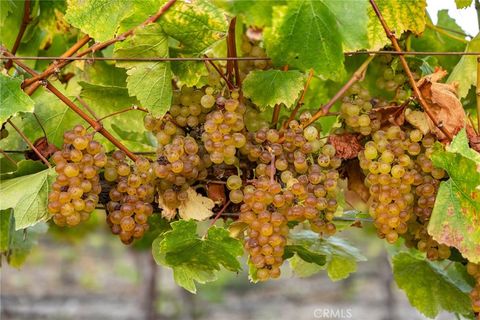 Tiny photo for 5502 Los Ranchos Road, San Luis Obispo, CA 93401 (MLS # NS25173494)