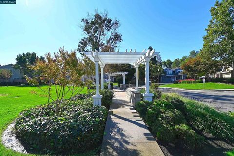 Tiny photo for 34 34 Elmwood Dr Dr, San Ramon, CA 94583 (MLS # 41126303)