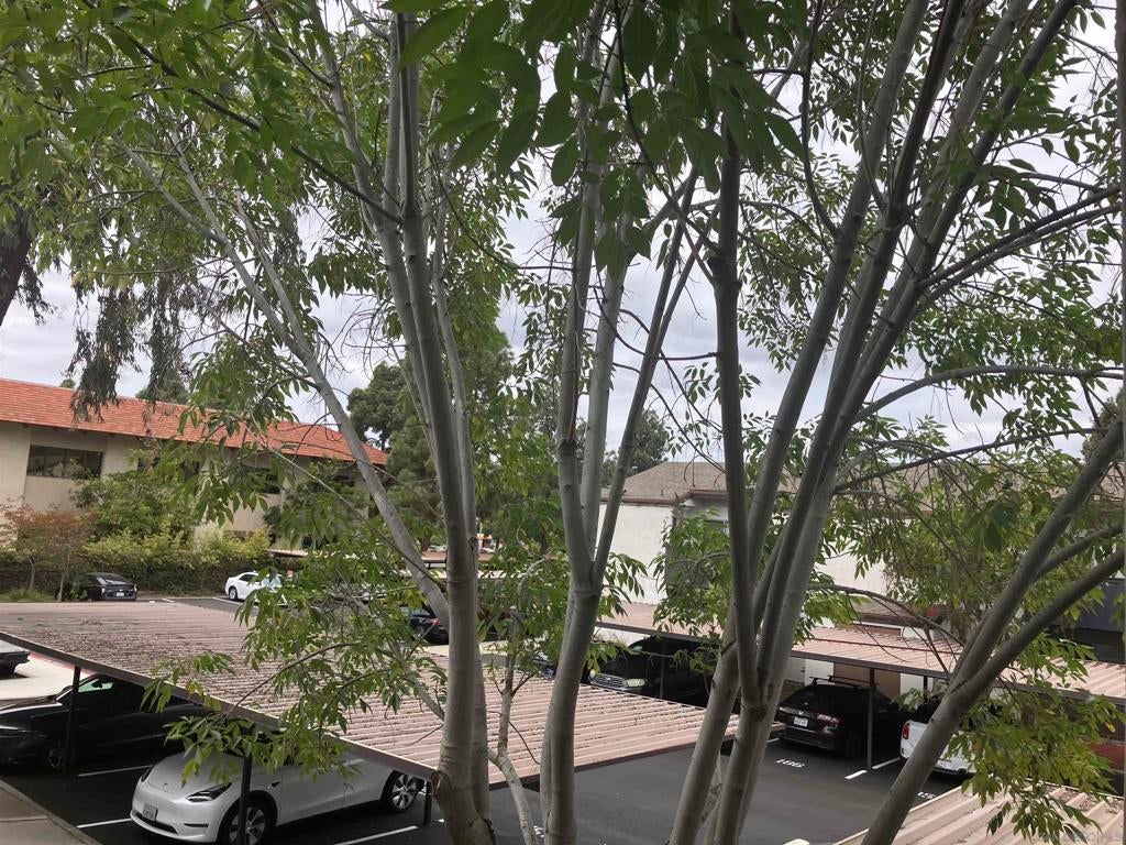 1361 Caminito Gabaldon D, San Diego CA 92108