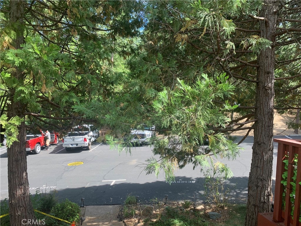40513 Saddleback