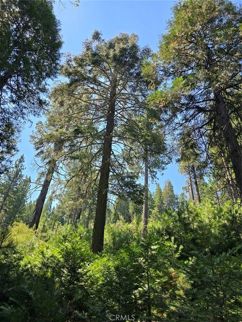 Photo of 0 Lovers Lane, Cedarpines Park, CA 92322 (MLS # IG25181916) Photo of 0 Lovers Lane, Cedarpines Park, CA 92322 (MLS # IG25181916)