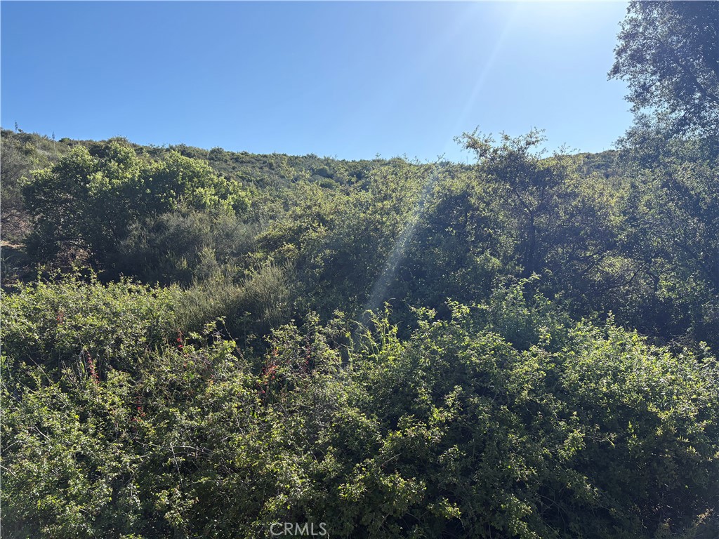 Solera (SLRA) - Land