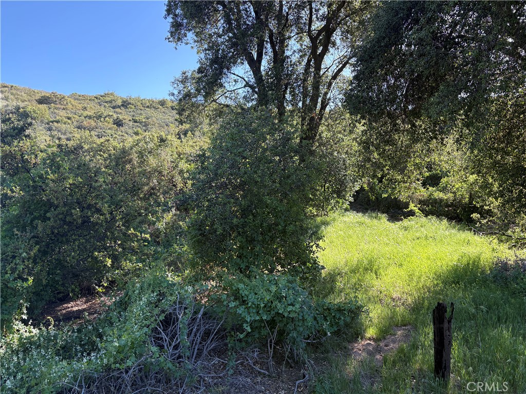 Solera (SLRA) - Land