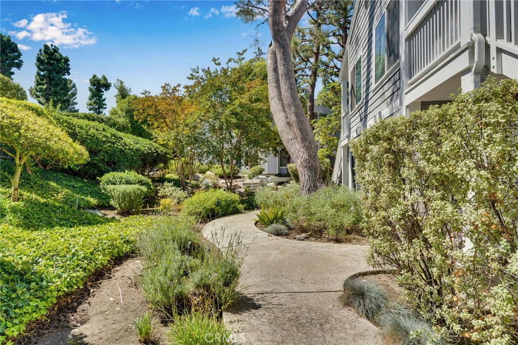 1301 Via Sebastian 24