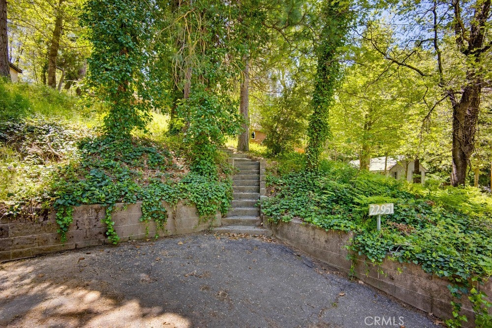22951 Redwood