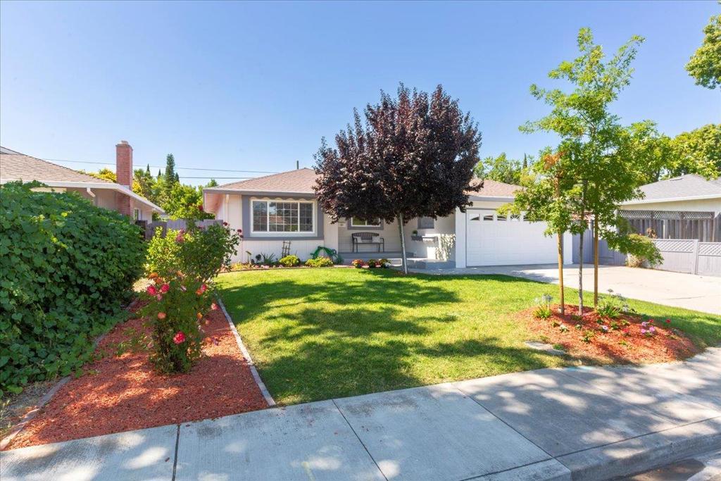 Beautiful Bright, Remodeled Home in the Heart of Santa Clara! Great Location and Schools! This Lovely Home Features 3 Full Bedrooms, 2 Baths ,Brand New Composition Shingle Roof, Living Room, Cozy Family Room with Fireplace off Modern New Kitchen With New Cabinets, New Quartz Counters, New Stainless Steel Appliances, Fridge and Breakfast Area! Double Paned Windows, Central A/C, New LVP Floors, Recess Lights, New Paint Inside and Out! New Bathrooms! Additional Large Bonus Room for Entertaining or Family Time (not included in the square footage and originally permitted as a Sun Room). Beautifully Landscaped Low Maintenance Front & Back Yard with Fruit Trees. Spacious Two Car Attached Garage with Storage Cabinets, Washer & Dryer. Cant ask for better location than this with easy Access to Top Tech Companies like Apple, Nvidia & KaiserPermanente and major commute routes like Lawrence, 280, El Camino! Close to Santa Clara Shopping, Parks,Valley Fair, great Private Schools! Attractive Santa Clara Utilities! Must See! Open house Saturday & Sunday 1-4.