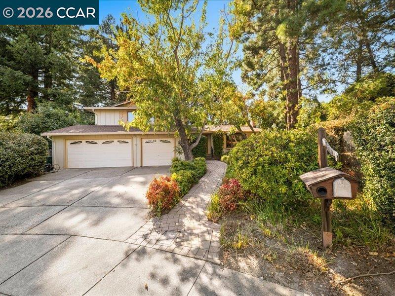 550 Catanio Ct