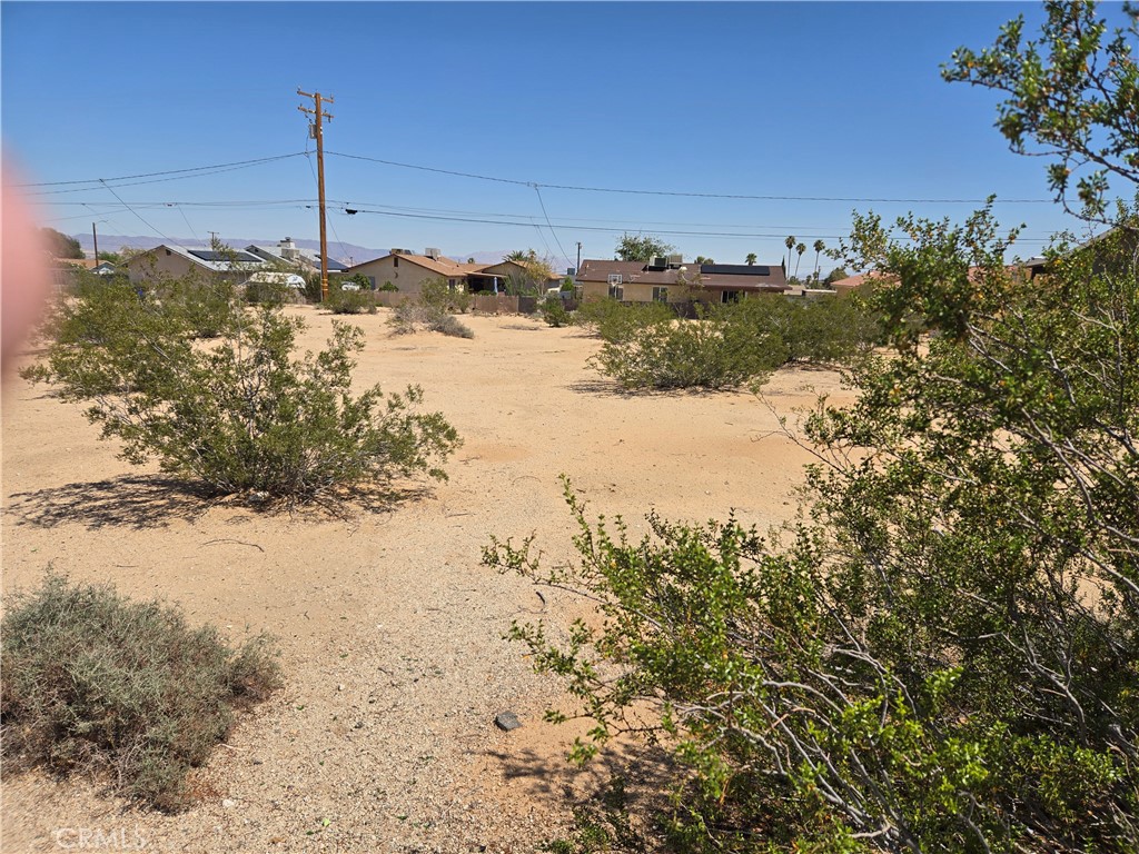 1234 Daisy Avenue
