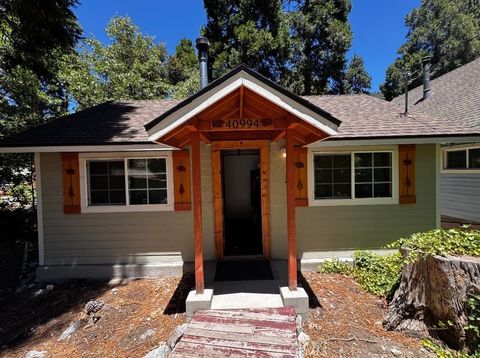 Photo of 40994 Spruce DR, Forest Falls, CA 92339 (MLS # IG26150465)