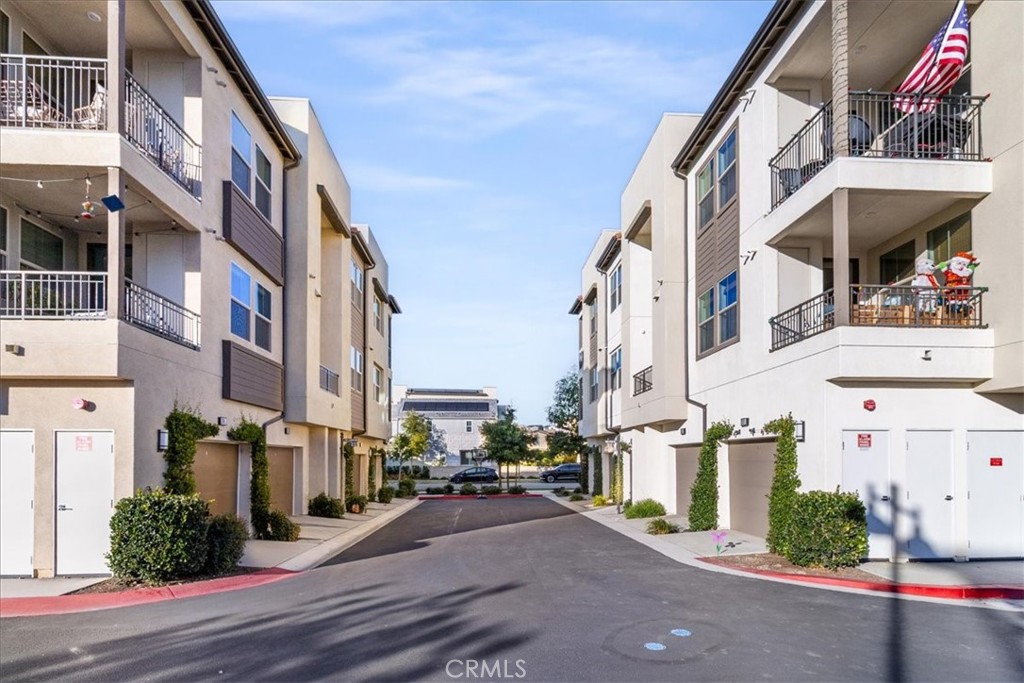 1201 Lasso Way