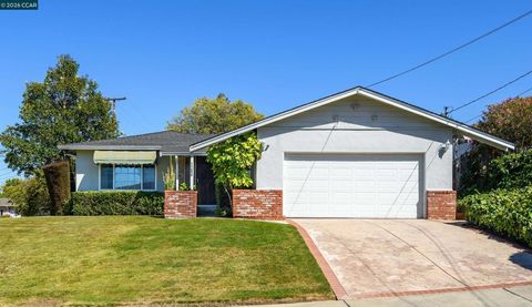 Photo of 1250 Rolling Hill Ct CT, Martinez, CA 94553 (MLS # 41141662)