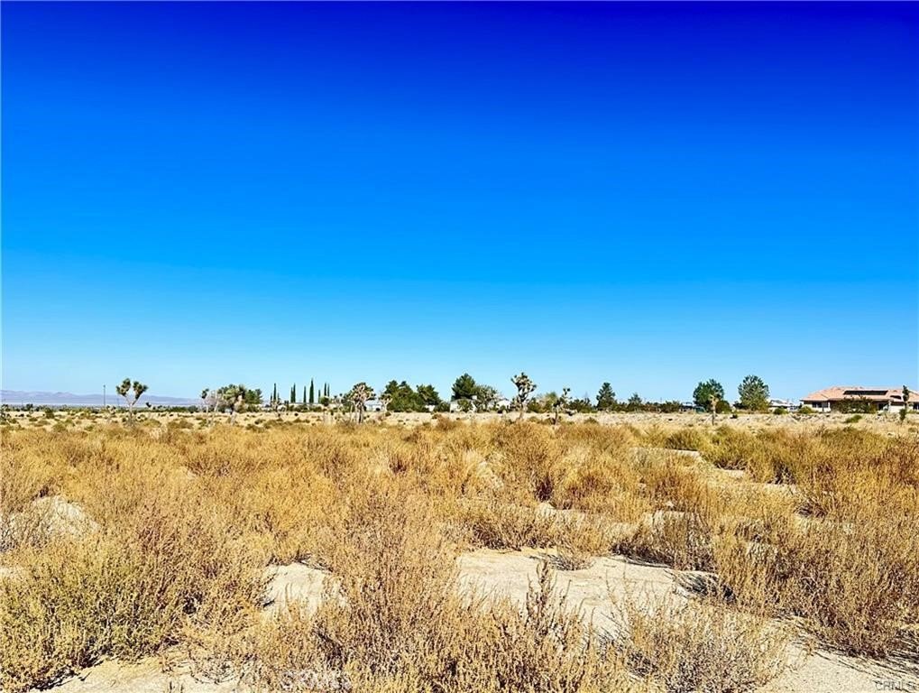 11975 Primavera Road