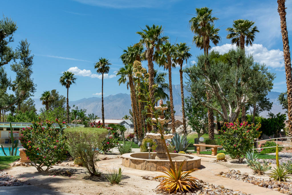 Desert Willow - Residential