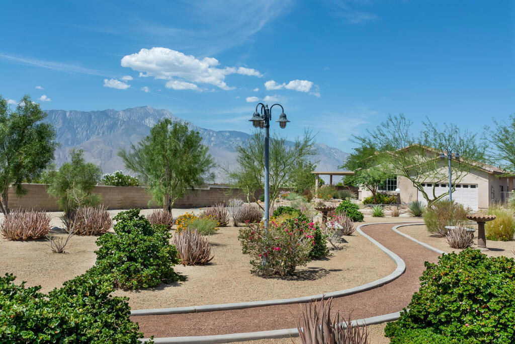 Desert Willow - Residential
