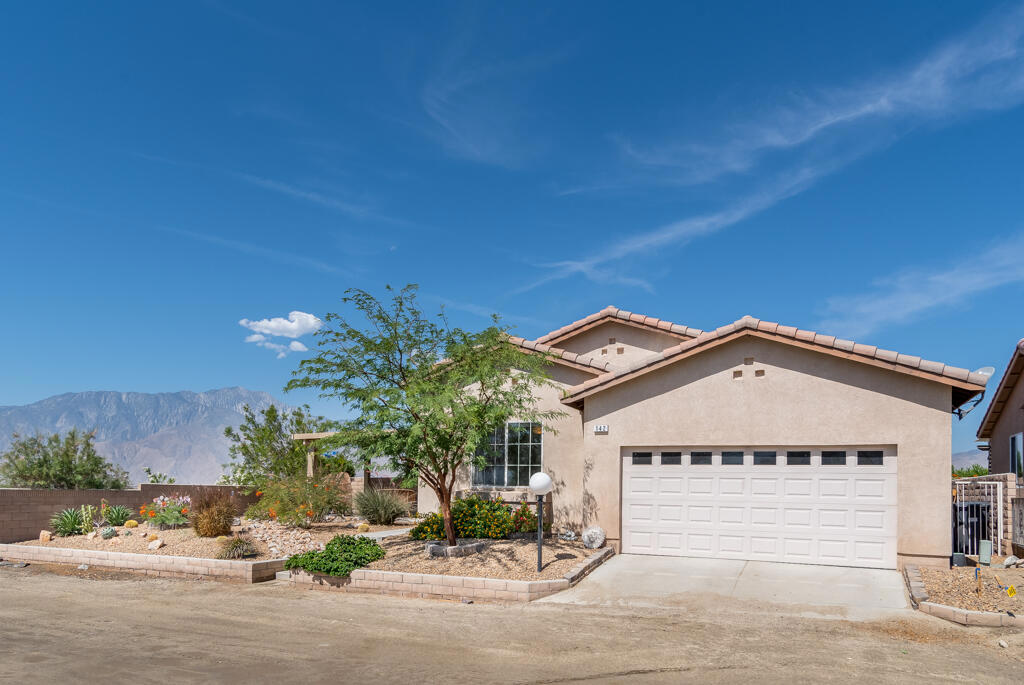 Desert Willow - Residential
