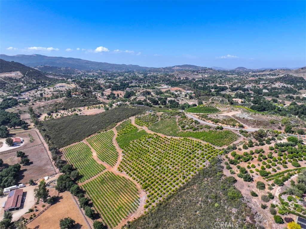 Welcome to Prestigious La Cresta Community! Enjoy Beautiful Sunrise and Spectacular Sunset Views from this Elevated La Cresta Homesite. Almost 10 Acres, Approximately 500 Mature Pomegranate Trees and Over 4,600 Grapevines - Bordeaux Style Meritage Grapes/Wines. World Class Grapes - Cabernet Franc, Cabernet Sauvignon, Merlot, Malbec and Petit Verdot are thriving here, with Ample Sunlight during the Day, Significant Temperature Drops at Night. Well Producing 55 Gallons/Minute, Three Water Tanks and Advanced Irrigation System. Overlooking Luxury Estates and Equestrian Properties. Take in Breathtaking Nature, Serenity, Tranquility and Peace, Located just minutes from Town. Country Living with Easy Access to Excellent and Award Winning Schools, Shopping, Dinning, World Class Golf and Nearby Wineries of Temecula Wine Country, as well as Pechanga Resort and Historic Old Town Murrieta and Historic Old Town Temecula (EST. 1859). Located in the Heart of La Cresta and just about an hour from San Diego, Orange County, Palm Springs and Los Angeles. Welcome Home!
