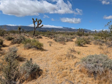 Photo of 27 248th, Llano, CA 93544 (MLS # IV26114259)