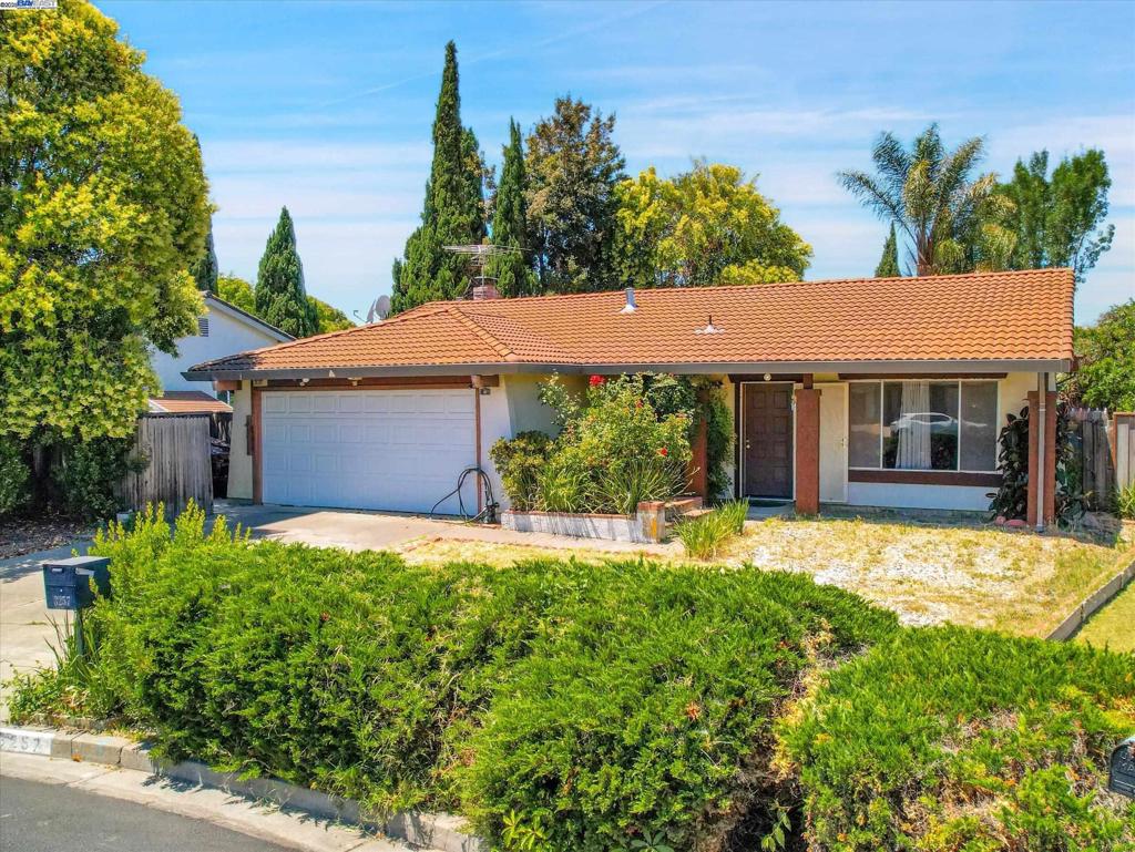 This Well-Maintained Single Family Home boasts w/ a comfortable living space, 3 beds, 2 baths, 1,346 living sq.ft & over 6,000 lot size. Separate spacious living room for relaxing & entertaining. Functional eat in kitchen w/ plenty of counter space & storage. Adjacent to the kitchen is the Family room, a highlight of the home, complete w/ a Cozy Fireplace & patio door leads to a generously-sized backyard with variety of fruit trees such as Apple & Peach. Nestled in an ideal location in the lakes and Birds neighborhood of North Fremont located on a quiet cul-de-sac. Also near Northgate, Harvey and Crandall Creek community Park for afternoon walks. Near shopping centers & hiking trails. Excellent commute location. Easy access to 92,84,880 Freeways, Bart Station & major Hi-Tech Companies. Few minutes away from Tesla & Facebook Campus. Top rated schools. Open House Sunday 7/27 between 1-4 pm.