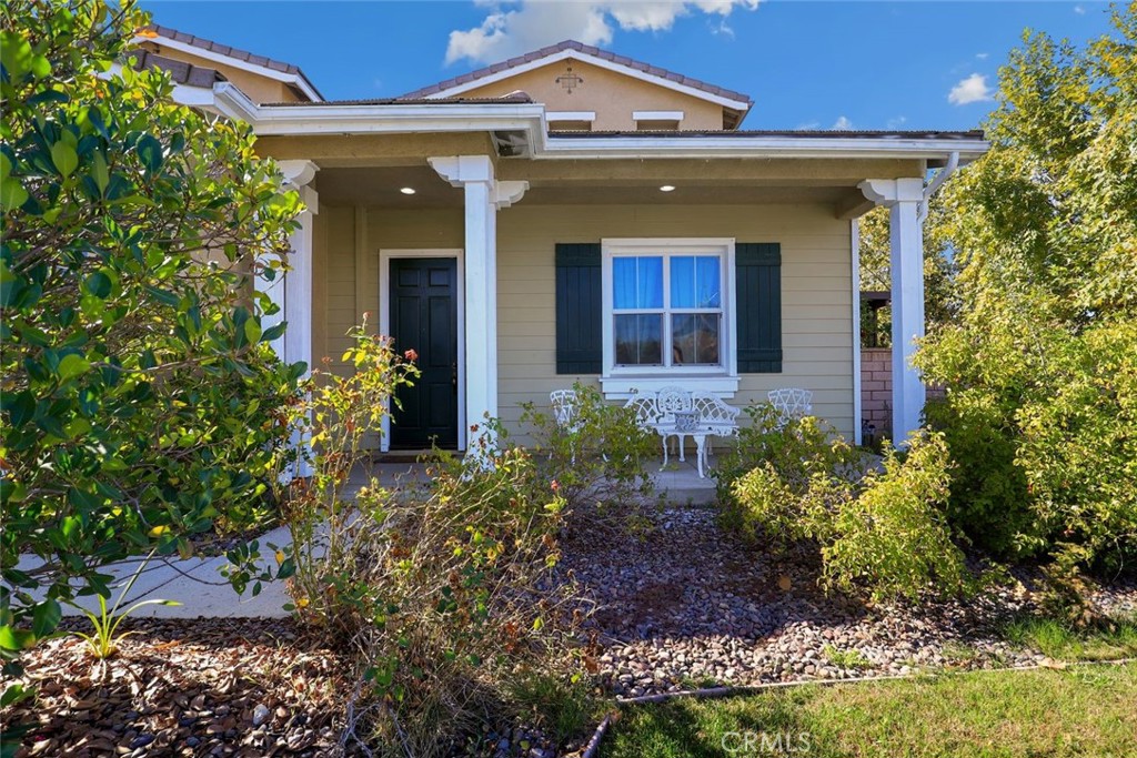 39161 Shree Road