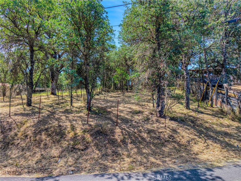 16793 Big Bear