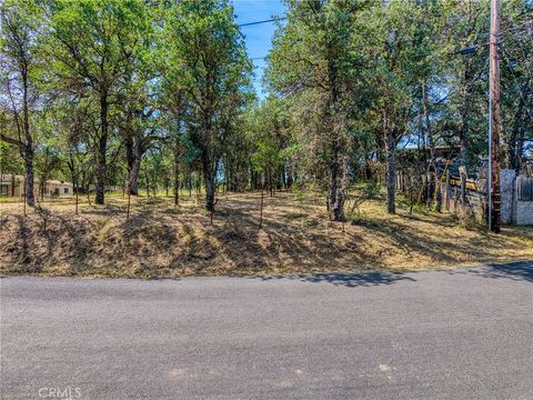 16793 Big Bear Lower Lake CA 95457