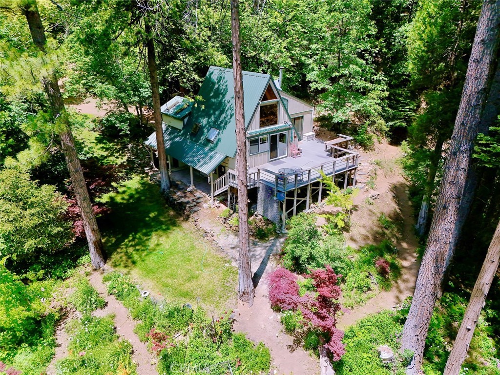 35 Sierra Buttes Road