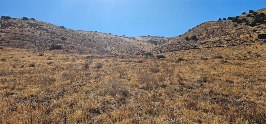 Beautiful View property overlooking the entire Antelope Valley. You could develop each 5 acre parcel separately or together. (There are also another adjoining two- 5 acre parcels being sold by the same family that could be purchased with these 2) which would afford a total of 30 acres! Easy access to Hwy 14, Palmdale and surrounding communities.