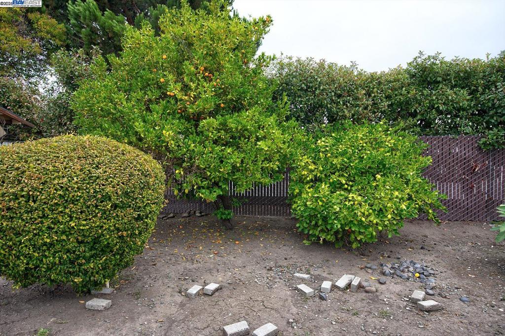 JACKSON TRIANGLE - Residential