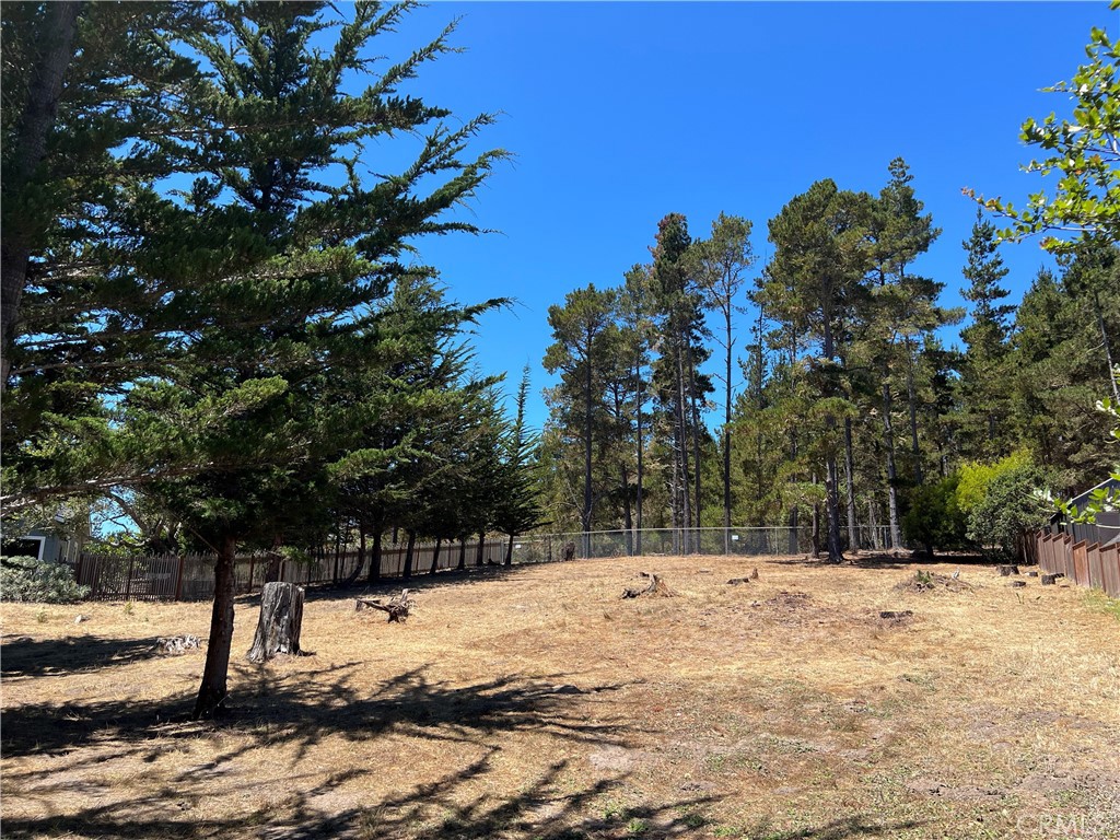 Price Reduced! Warren Road Lot 2. Last seen on market almost 30 years ago. A Rare offering includes #434 on the CCSD water wait list. The Only unimproved lot on the North side of the road between Tipton & Orlando Dr. This estate size lot is 100'x175', 17,500+-sqft. Backs up to Open Space. Possibly a distant ocean view from the upper level of a future home. Move an active service (tear down) water meter to this property. That would allow you to submit plans to SLO Co planning Dept. Check CCSD & county websites (cambriacsd.org & slocounty.ca.gov) for info on the current building moratorium for new construction. Not far to the beach with views of the Fiscalini Ranch Preserve from your back door. A Rare offering for sure! Price Reduced! Now Offered for $125,000.