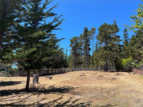 Photo of 0 Warren Road, Cambria, CA 93428 (MLS # SC24132702) Photo of 0 Warren Road, Cambria, CA 93428 (MLS # SC24132702)