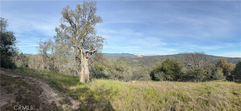 0 5.36 Acres N. Dome Drive