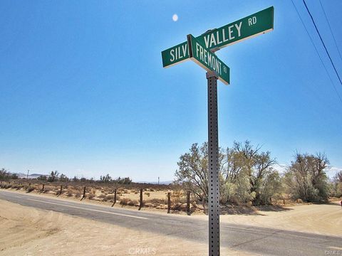 0 0531-151-31-0000 Silver Valley Road Newberry Springs CA 92365