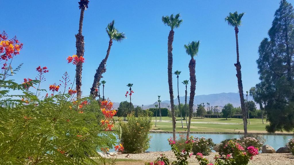 Desert Princess - Residential